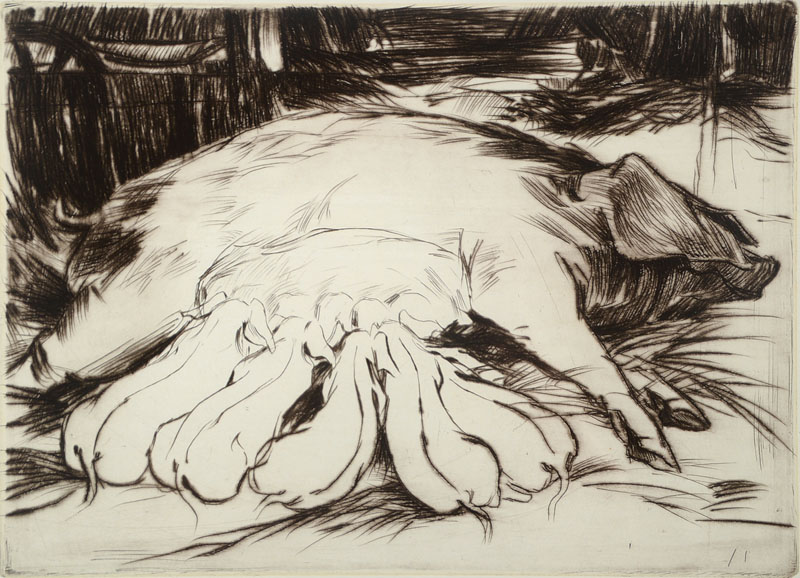 Gerd Hintermeier, geb. 1942 Rothenburg, Sau mit Ferkeln, Radierung von 1975, handsigniert, ca. 23x31cm, unter Glas, Rahmen