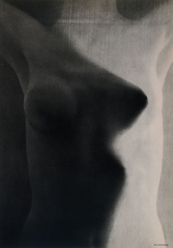 Erwin Blumenfeld, 1897-1969, Konvolut aus drei reproduzierten Fotografie aus: Heligravure Verve, Paris, 1938, je ca. 34,5x25,5 cm, PP, Gesamt ca. ...