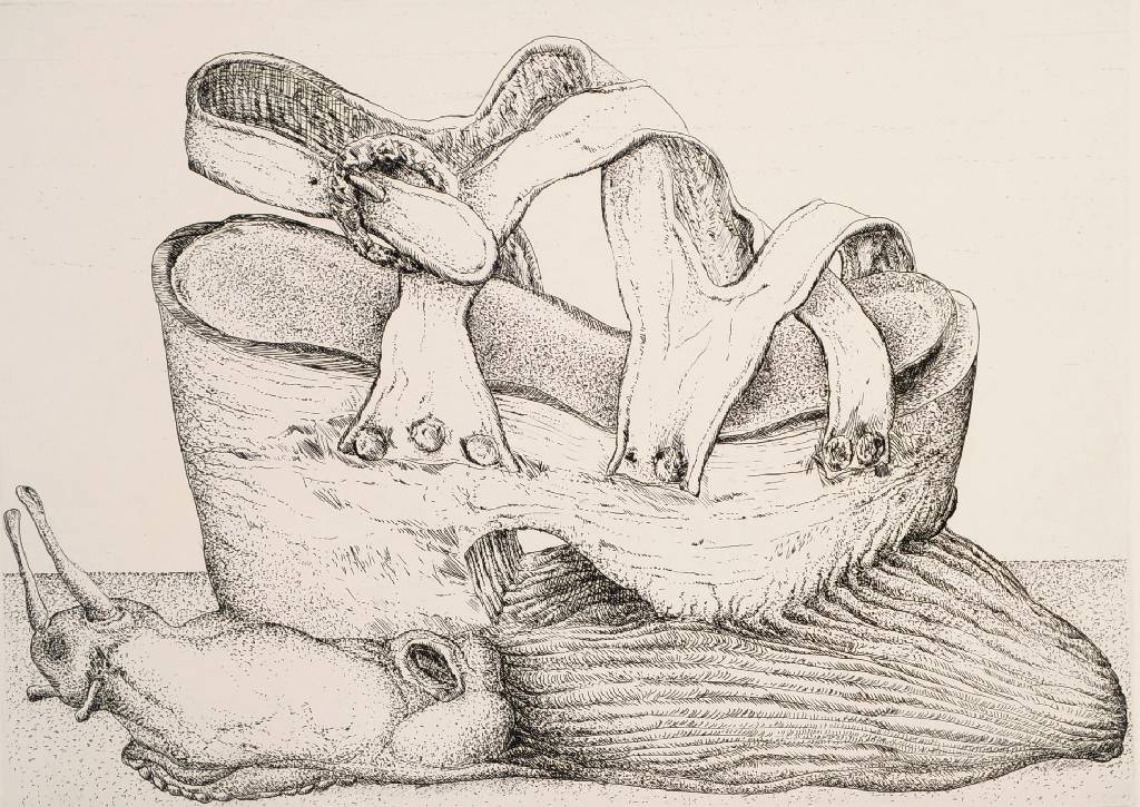 Günther Grass, 1927-2015, Radierung, Schnecke vor Schuh, signiert und datiert 83, nummeriert 139/150, Blattgr. ca. 38x30 cm