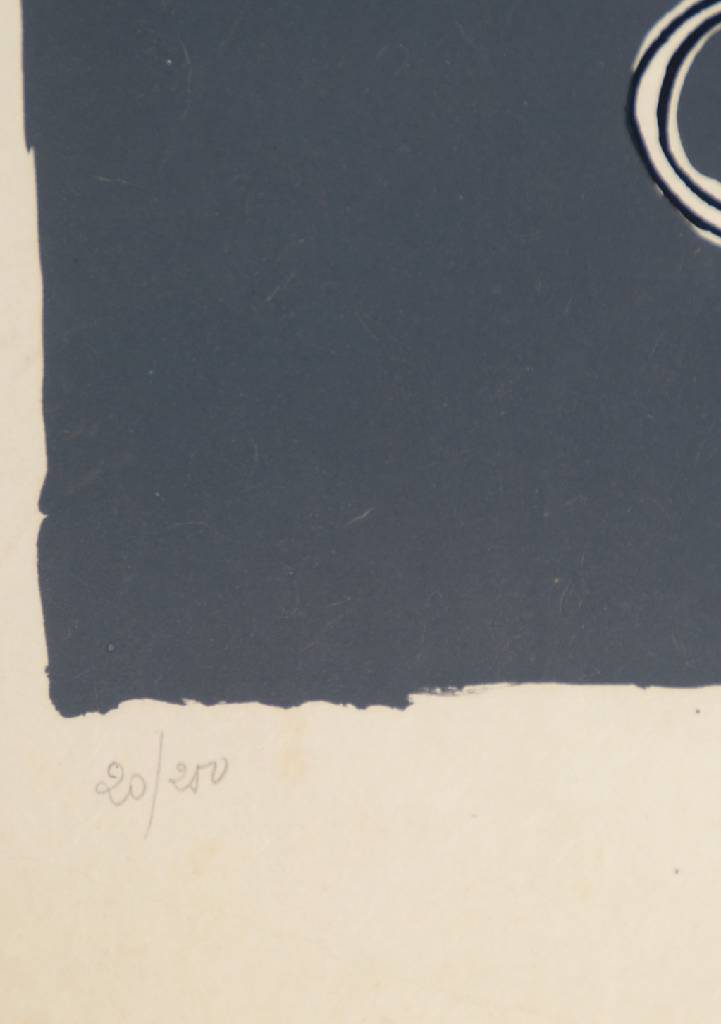 Detail b: Salvador Dali, 1904-1989, Farblithografie auf Japanpapier, aus der Suite "Les Songes Drolatique de Pantagruel", aus dem Jahre 1973, ...