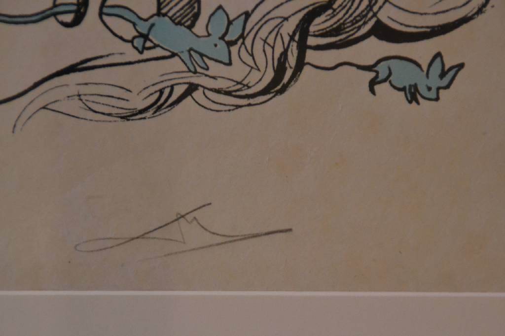 Detail c: Salvador Dali, 1904-1989, Farblithografie auf Japanpapier, aus der Suite "Les Songes Drolatique de Pantagruel", aus dem Jahre ...