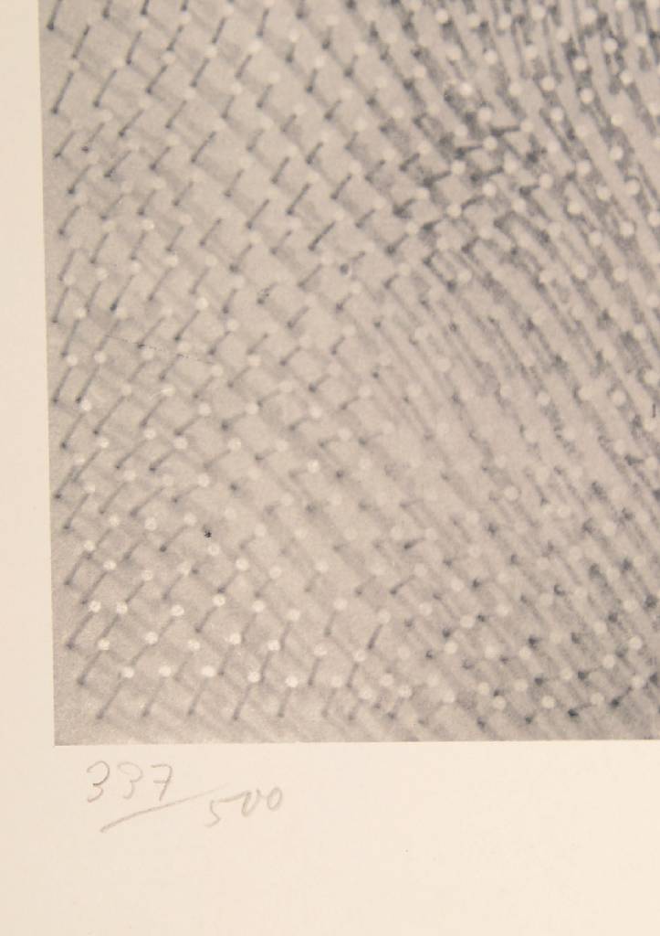 Detail a: Günther Uecker, 1930 Wendorf/Mecklenburg- Vorpommern, Ohne Titel, num. 339/500, handsigniert und dat. 71, ca. 60 x 50 cm leicht gebräunt, ...