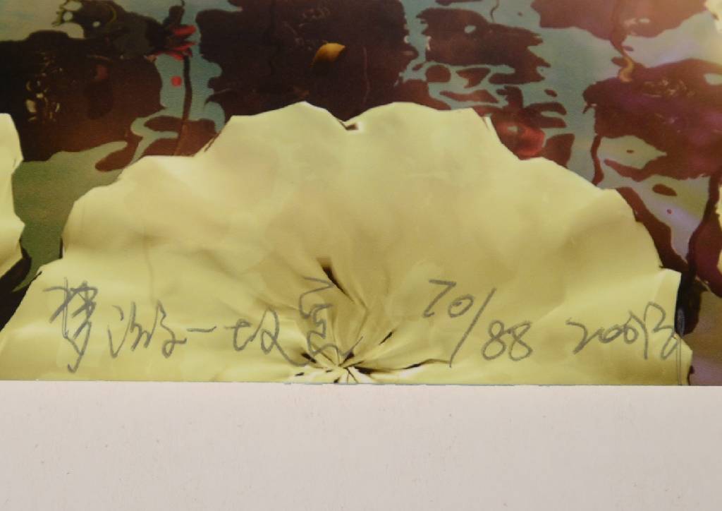 Detail a: Liu Ren, geb. 1980, Fotografie, bekannter chinesischer Künstler, handsigniert und nummeriert 20/88, Blattgr. ca. 18x26 cm