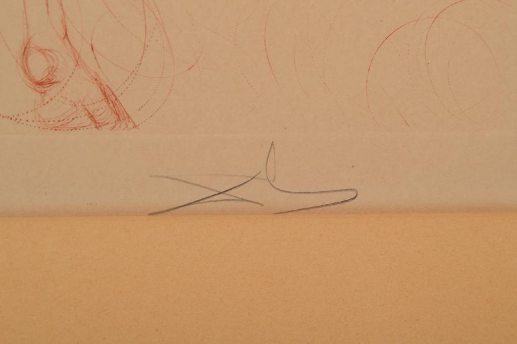 Detail a: Salvador Dali, 1904-1989, L'Etalon blanc, Der weiße Hengst, Kaltnadelradierung von 1973/74, auf Arches Bütten, handsign. und num. 62/175, ca. ...