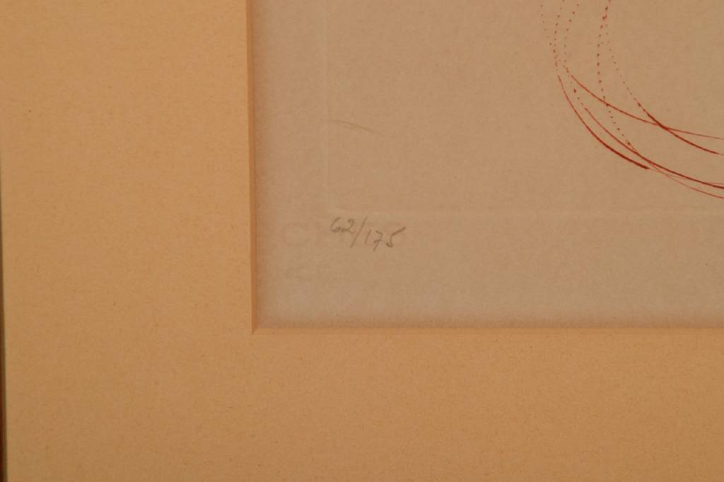 Detail b: Salvador Dali, 1904-1989, L'Etalon blanc, Der weiße Hengst, Kaltnadelradierung von 1973/74, auf Arches Bütten, handsign. und num. 62/175, ca. ...