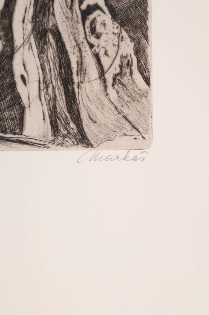 Detail a: Markus Vallazza, geb. 1936, Radierung, signiert und nummeriert 2/18, Platte ca. 21x22,5 cm, Blattgr. ca. 53,5x38 cm, dazu Buch: Markus Vallazza - Die ...