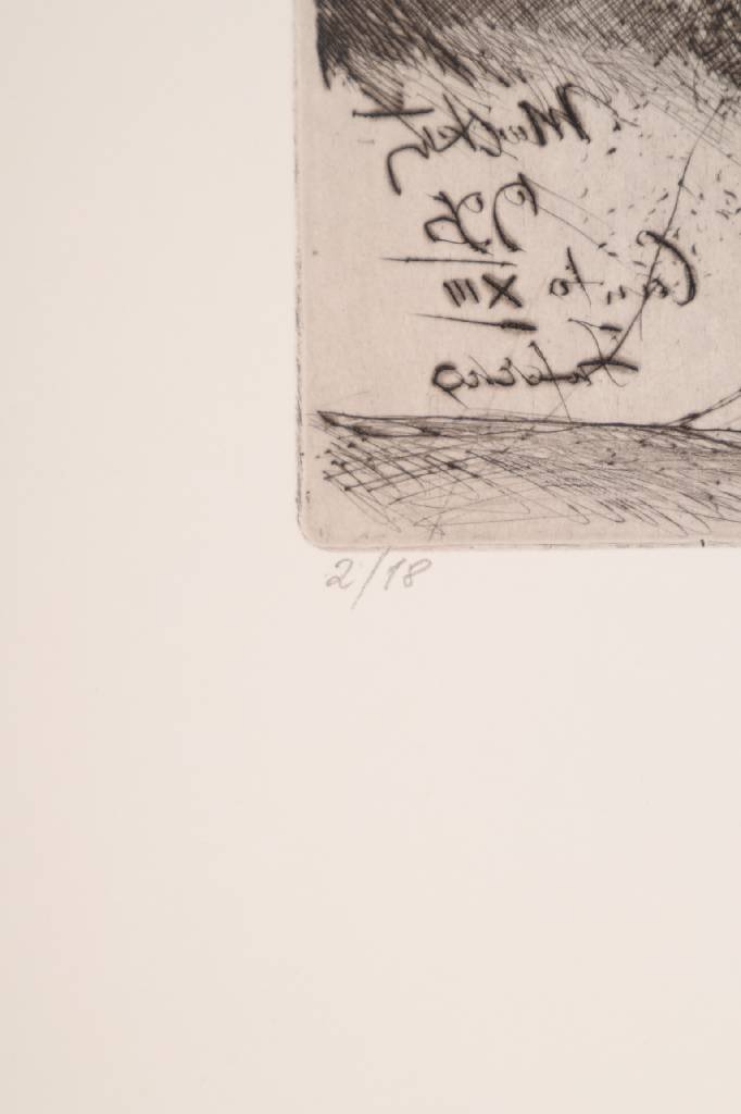 Detail b: Markus Vallazza, geb. 1936, Radierung, signiert und nummeriert 2/18, Platte ca. 21x22,5 cm, Blattgr. ca. 53,5x38 cm, dazu Buch: Markus Vallazza - Die ...