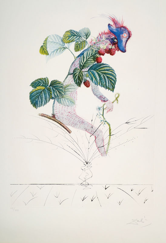 Salvador Dali, 1904-1989, Le Framboisier, Radierung von 1969-70 aus der Serie Flordali les Fruits, Radierung über Farblithographie mit Prägedruck, ...