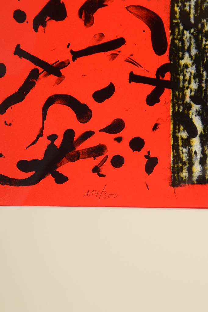 Detail b: Günther Uecker, geb.1930, Lithografie auf Bütten, Kaktus, handsign. u. num. 114/300, dat. 92, ca. 85x72 cm, unter Glas gerahmt