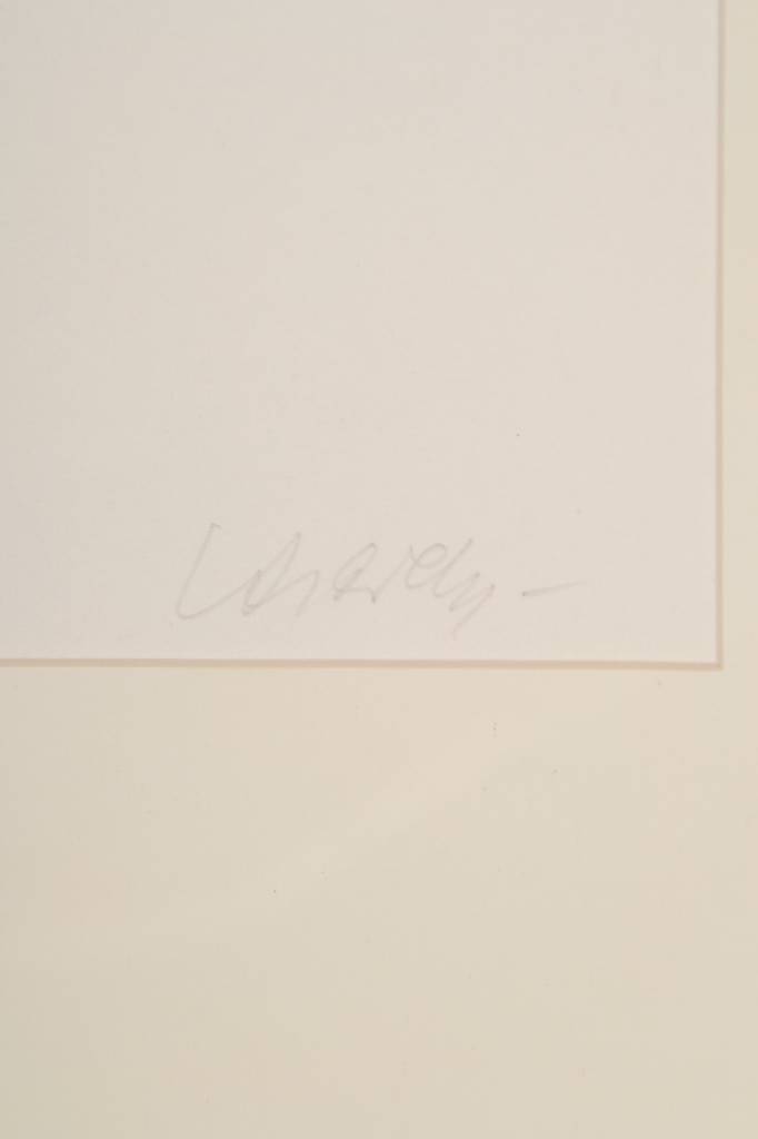 Detail a: Victor Vasarely, 1906-1997, Radierung und Reliefdruck, Schwarz/Weiß, handsigniert, Auflage 100, aus 1984, ca. 45x36 cm, unter Glas gerahmt