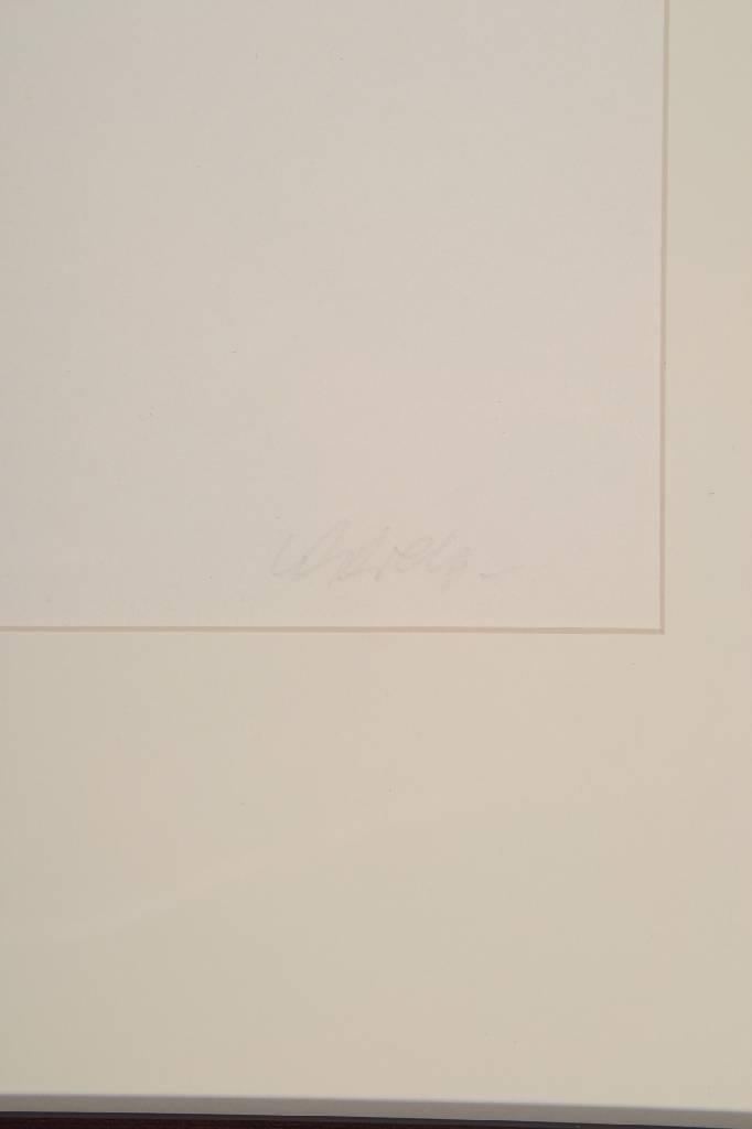 Detail a: Victor Vasarely, 1906-1997, Radierung u. Reliefdruck in weiß, handsign., Auflage: 100, aus 1984, ca. 45x36 cm, PP, unter Glas gerahmt