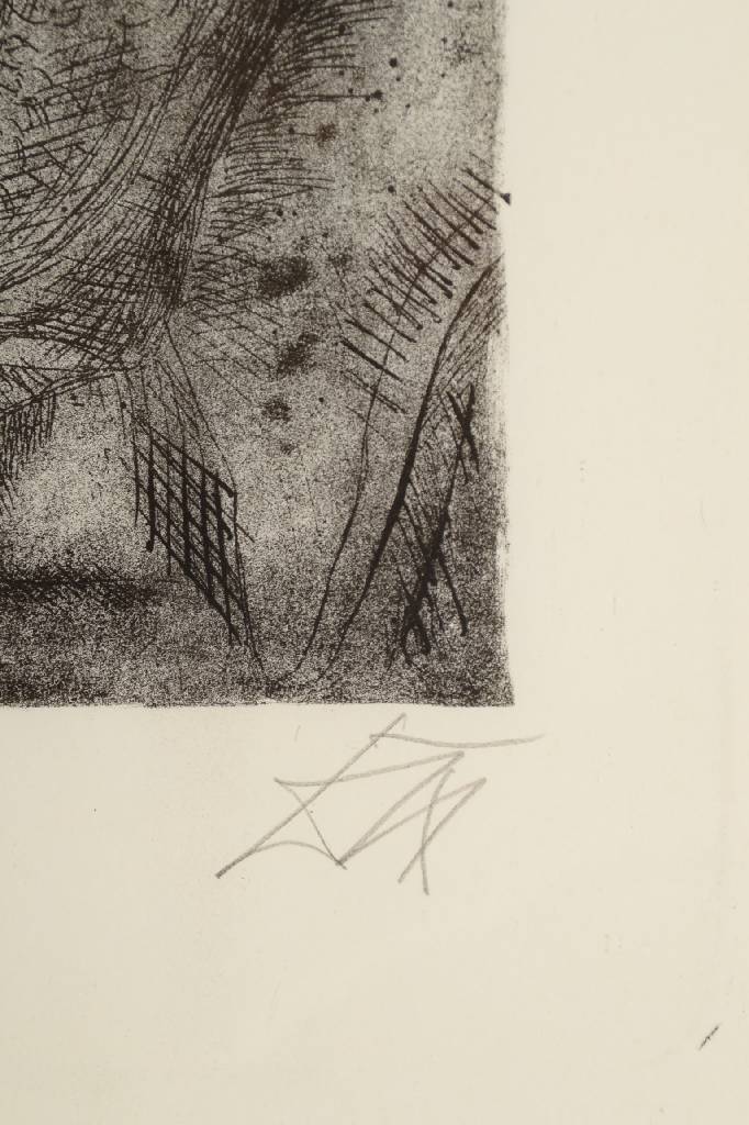 Detail a: Otto Dix, 1891 Gera-1969 Singen, ein Toter, Lithographie, handsigniert, Blattgr. ca. 48x40 cm, unter Glas gerahmt, Blatt verschmutzt