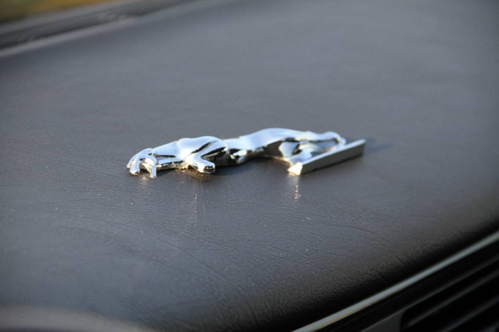 Detail g: Jaguar XJ8 Sport, EZ 04.1999, Laufleistung ca. 96.000 km, TÜV bis 10.2017, 209 kW/ 286 PS, 8-Zylinder, 5-Gang Automatikgetriebe, grün, Vollleder ...
