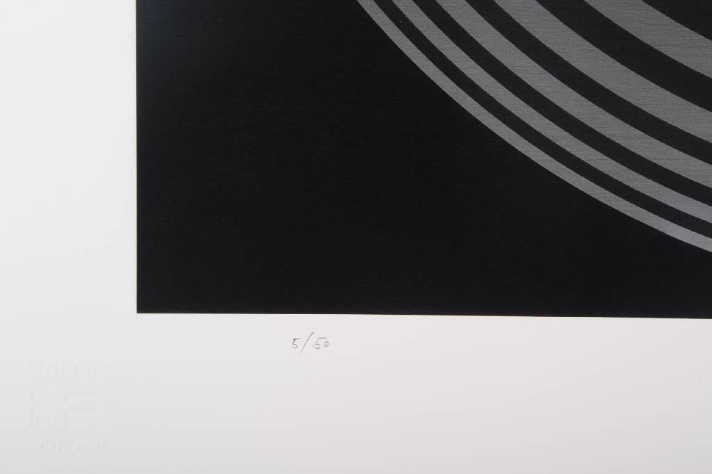 Detail b: Friedrich Geiler, geb. 1946, Giclee auf handgemachtem Baumwollpapier, signiert und nummeriert 5/50, datiert 13, Blattgr. ca. 61x61 cm