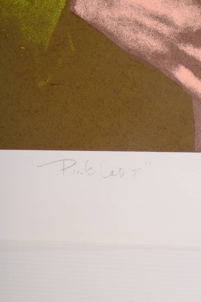 Detail a: Ed Paschke, 1939-2004, Lithographie, Pink Lady, signiert und betitelt, ebenso beschriftet: Demonstration Proof - Not for sale, Blattgr. ca. 97x75,5 ...