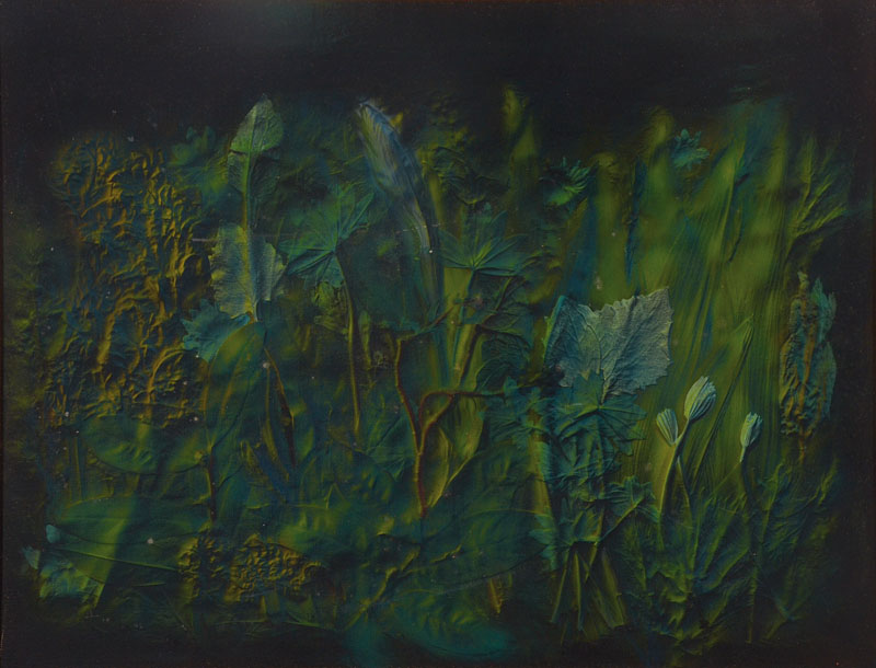 Volker Bußmann, geb. 1945, Pflanzenstück als Nacht, Öl/Lwd, rückseitig signiert und datiert 1979, betitelt, WVZ 302, ca. 50x65 cm, Rahmen