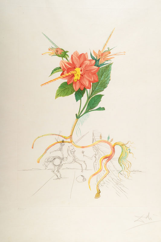 Salvador Dali, 1904-1989, Dahlia unicornis, aus der Serie: Flordali, Radierung mit Kaltnadel und Pochoir, auf Japon nacre, 1968, signiert und ...