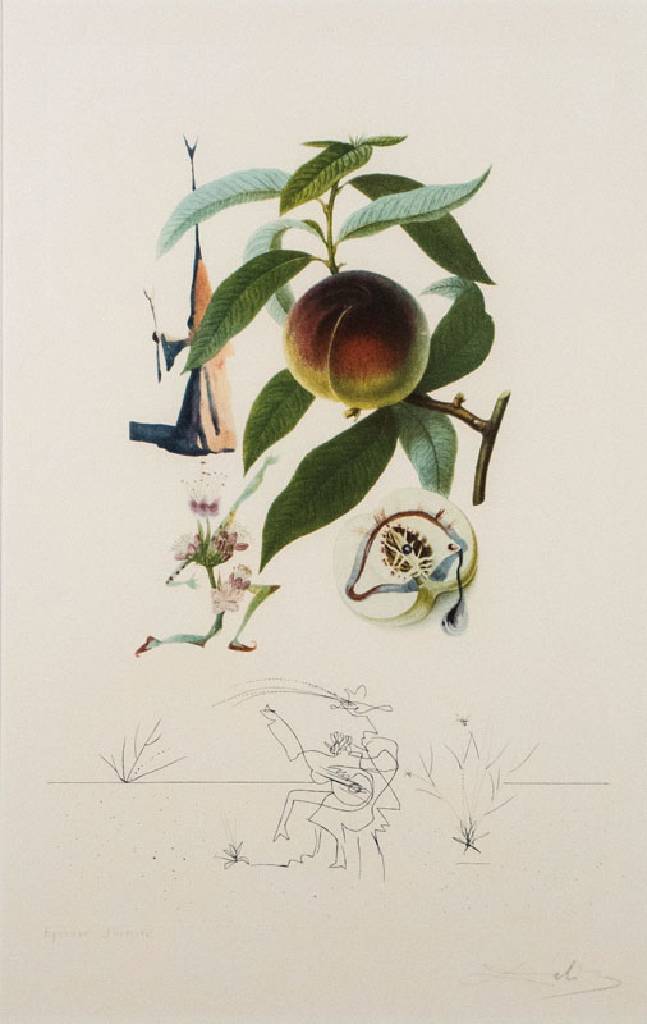Salvador Dali, 1904-1989, Pecher Penitent (Reudiger Pfirsichbaum) Radierung mit Kaltnadel auf Lithographie, WVZ Nr. 348, signiert und nummeriert EA, ...