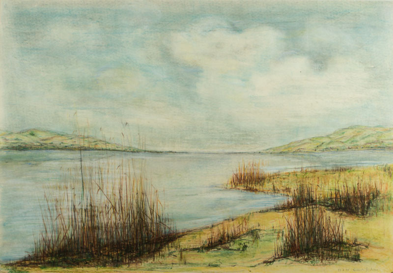 unbekannter Künstler, Bodensee-Küste, Pastellkreide/Karton, sign, dat 91, ca. 117x144 cm, PP, unter Glas gerahmt