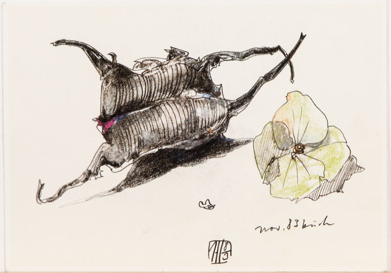 Horst Janssen, 1929-1995, zwei Postkarten, handbeschrieben von Janssen, mit kleinen Farbillustrationen im Text, je ca. 15x10,5 cm