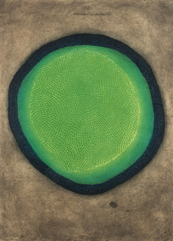 Detail a: Arthur Luiz Piza, geb. 1928, La grande verte, Farbaquatinta, handsign, num. 45/99, verso betitelt, Blattgr. 78x58 cm, unter Glas gerahmt, leichte ...