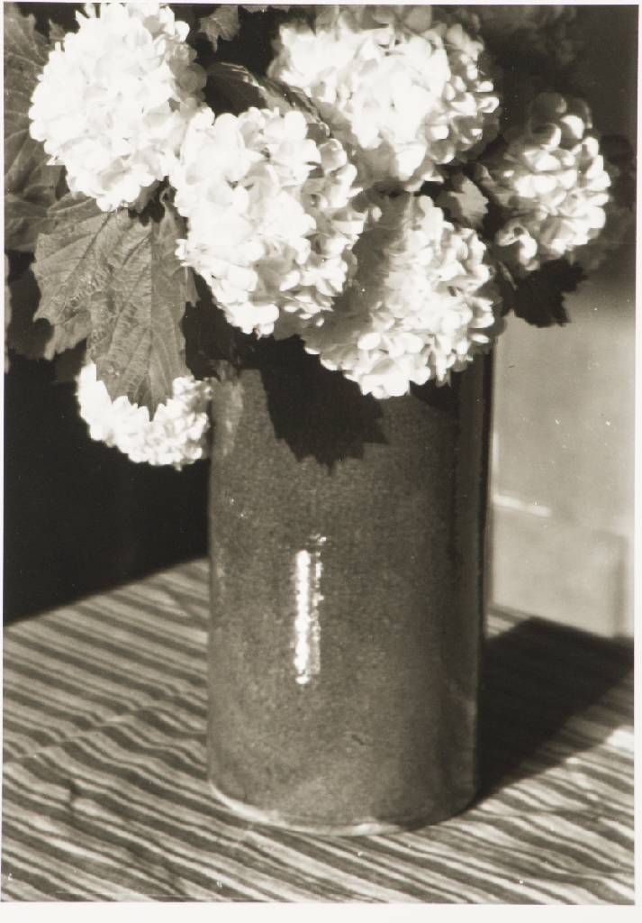 Detail a: Heinrich Kühn, 1866-1944, Pionier der Kunstphotographie, Mappe mit 6 Fotografien, Edition Griffelkunst 2014, Blattgr. 30X24 cm