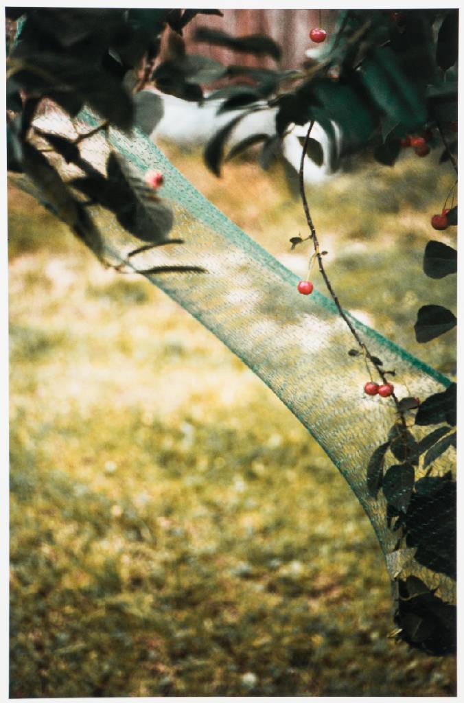 Detail d: Dörte Eißfeldt, geb. 1950, Flug, Mappe mit 6 Fotografien, Edition Griffelkunst 2003, je verso sign., Blattgr. 29x42 cm