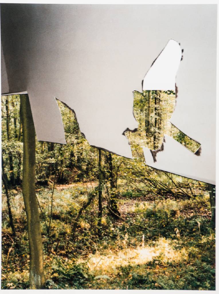 Detail e: Dörte Eißfeldt, geb. 1950, Flug, Mappe mit 6 Fotografien, Edition Griffelkunst 2003, je verso sign., Blattgr. 29x42 cm
