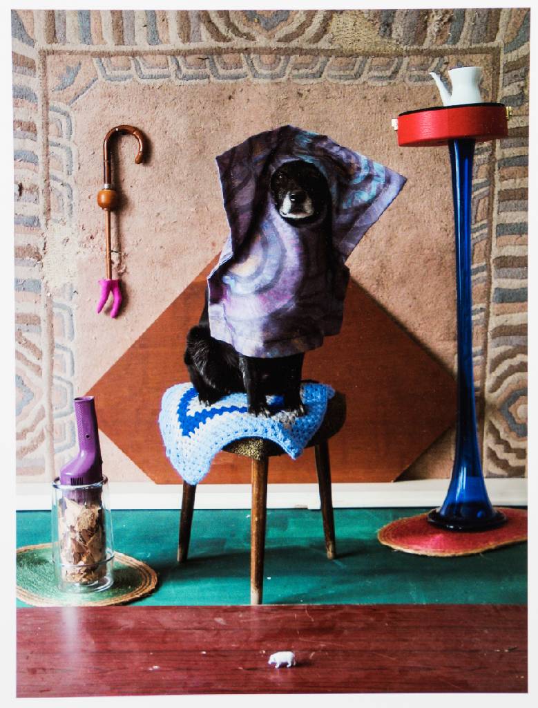 Thorsten Brinkmann, geb. 1971 Herne, Ernie -Portraits of a Studio Dog, Mappe mit 6 Fotografien, Edition Griffelkunst 2011, je verso sign., betitelt, ...