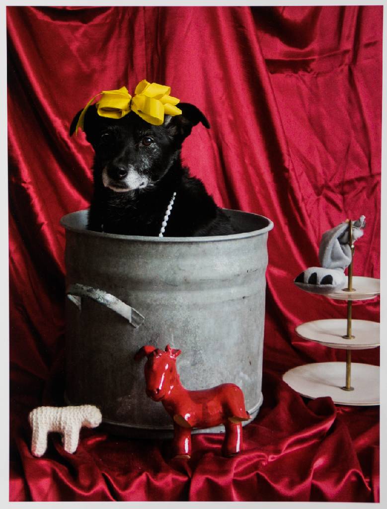 Detail a: Thorsten Brinkmann, geb. 1971 Herne, Ernie -Portraits of a Studio Dog, Mappe mit 6 Fotografien, Edition Griffelkunst 2011, je verso sign., betitelt, ...