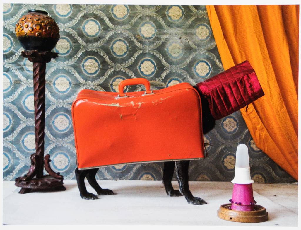 Detail b: Thorsten Brinkmann, geb. 1971 Herne, Ernie -Portraits of a Studio Dog, Mappe mit 6 Fotografien, Edition Griffelkunst 2011, je verso sign., betitelt, ...