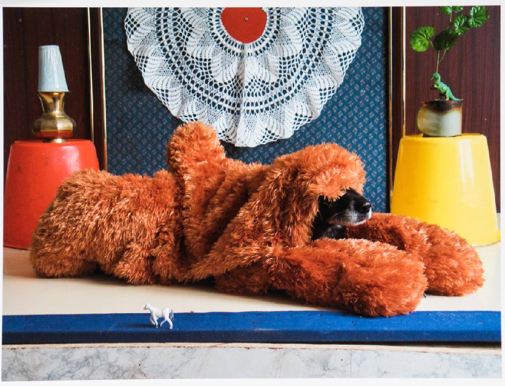 Detail e: Thorsten Brinkmann, geb. 1971 Herne, Ernie -Portraits of a Studio Dog, Mappe mit 6 Fotografien, Edition Griffelkunst 2011, je verso sign., betitelt, ...