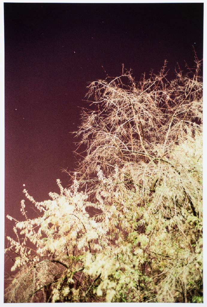 Tobias Zielony, geb. 1973 Wuppertal, Berliner Filmemacher und Fotograf, hier: Himmel, Inkjetdruck, verso sign., dat. 2013, betitelt, Blattgr. 47x32 cm