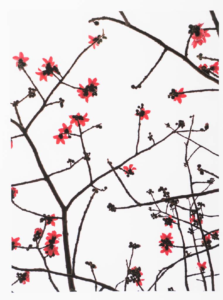 Marco van Duyvendijk, geb. 1974 Niederlande,Watch the Weather Change, Mappe mit 6 Fotografien, Inkjet-Prints, je verso sign., Blattgr. 42x52 cm, dazu ...