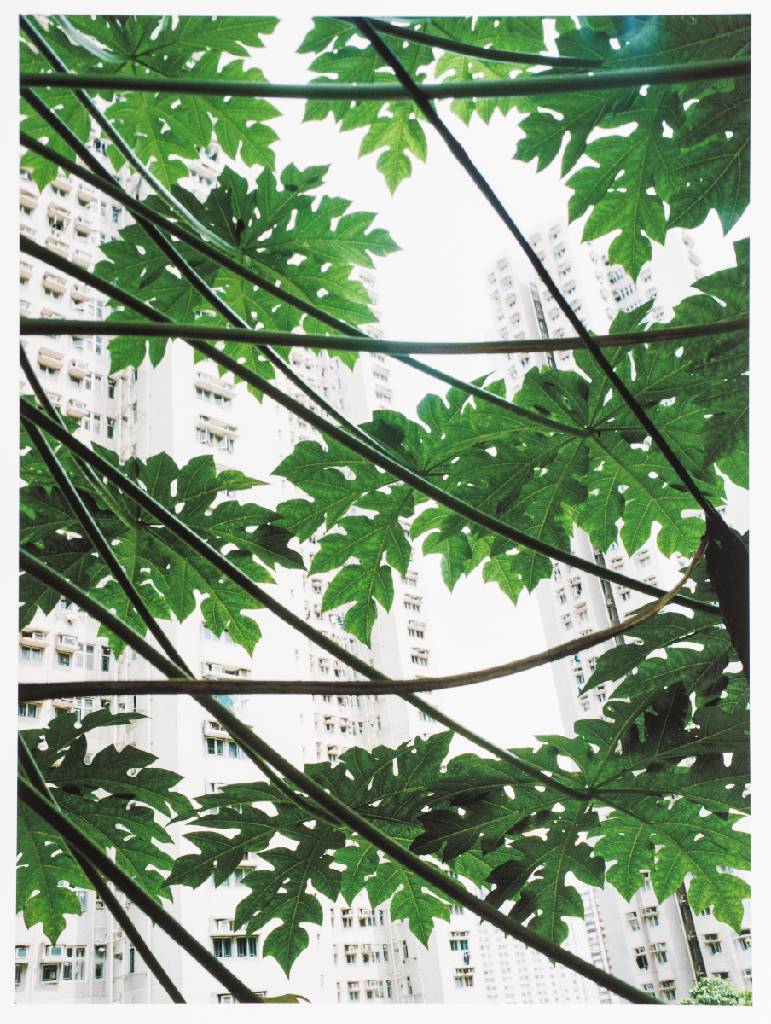 Detail c: Marco van Duyvendijk, geb. 1974 Niederlande,Watch the Weather Change, Mappe mit 6 Fotografien, Inkjet-Prints, je verso sign., Blattgr. 42x52 cm, dazu ...