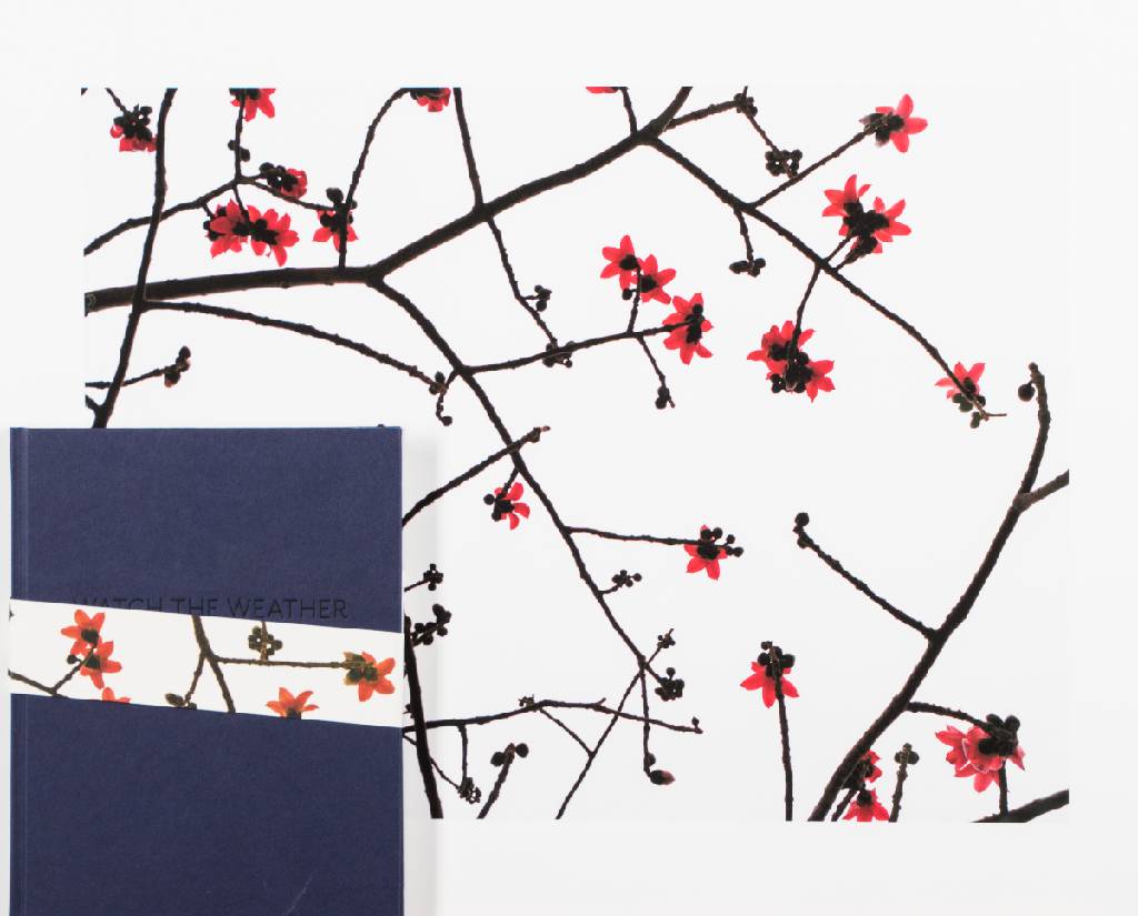 Detail f: Marco van Duyvendijk, geb. 1974 Niederlande,Watch the Weather Change, Mappe mit 6 Fotografien, Inkjet-Prints, je verso sign., Blattgr. 42x52 cm, dazu ...