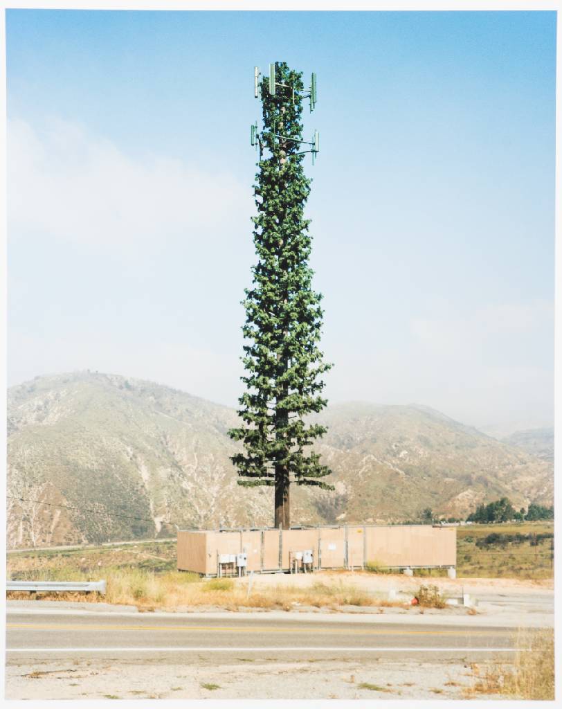 Detail a: Robert Voit, geb. 1969 Erlangen, New Trees, 6 Fine art prints, 2006, je verso sign., Blattgr. 50x42 cm