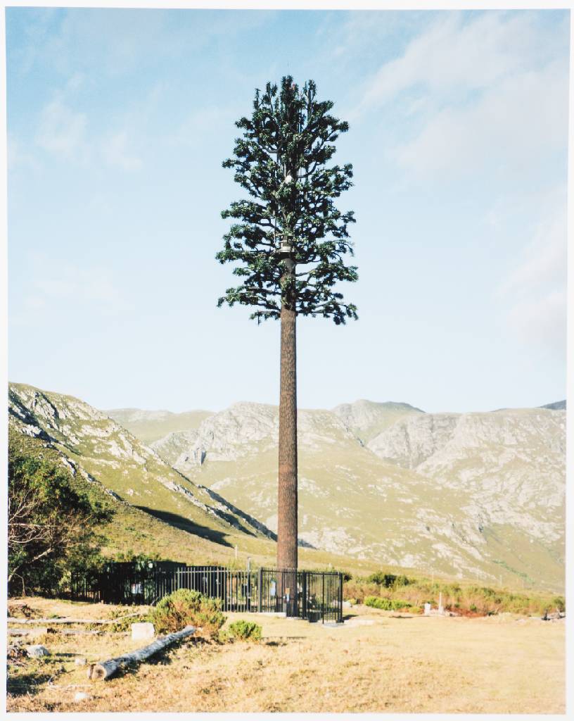 Detail d: Robert Voit, geb. 1969 Erlangen, New Trees, 6 Fine art prints, 2006, je verso sign., Blattgr. 50x42 cm