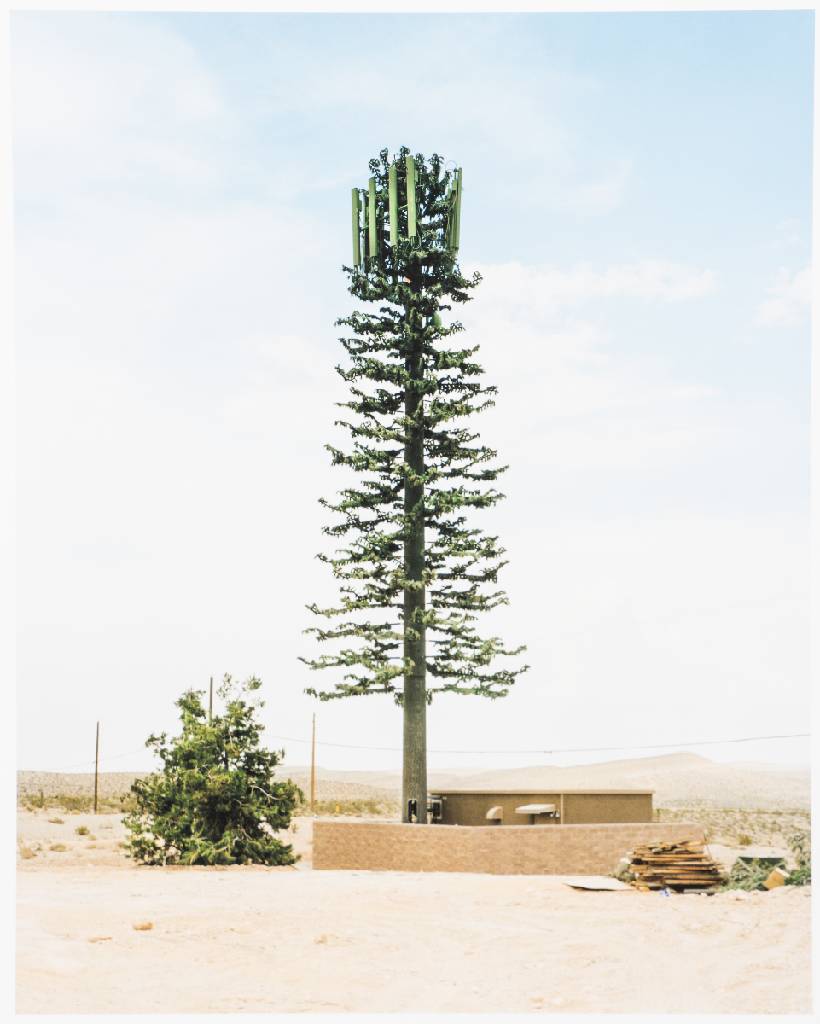 Detail e: Robert Voit, geb. 1969 Erlangen, New Trees, 6 Fine art prints, 2006, je verso sign., Blattgr. 50x42 cm