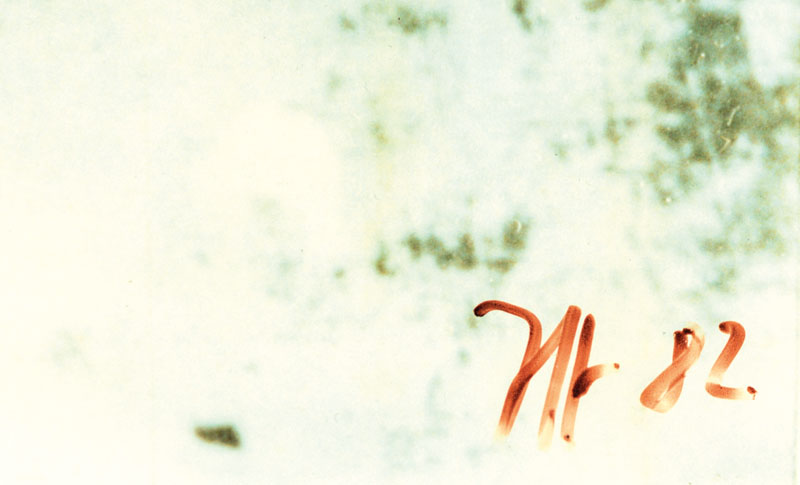 Detail a: Horst Janssen, 1929-1995, Fotografie, aus der Serie "Fixierte Augenblicke", handsign., dat. (19)82, ca. 30x30 cm, auf Karton montiert