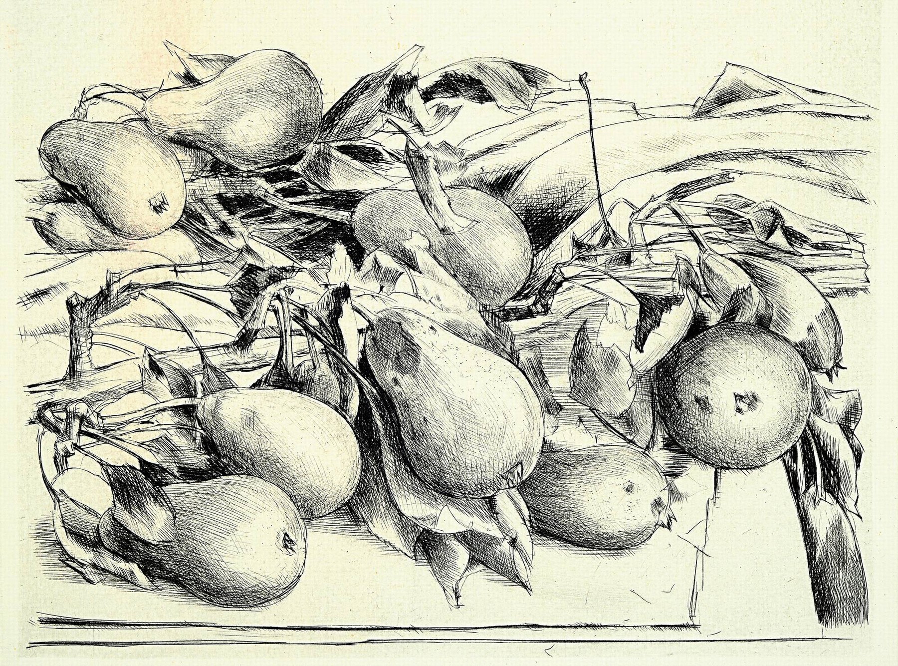 Werner Brand, geb. 1933 Löbau, Birnen, Aquarell, sign., Blattgr. 31,5x46 cm, PP 51x64,5 cm, fleckig