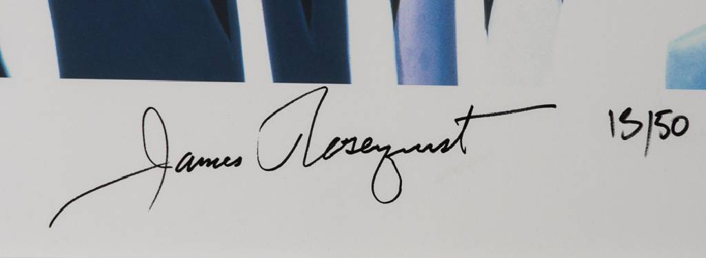Detail a: James Rosenquist, 1933-2017, Brazil 2013, Farbpigmentdruck auf Aquarellpapier, handsign., num. 13/50, Blattgr. 70x200cm, unter Glas gerahmt, gesamt ...