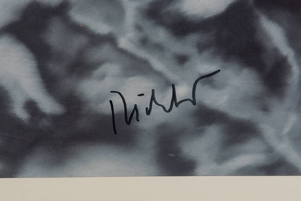 Detail a: Gerhard Richter, geb. 1932, Lovers in the forest, Offset-Lithografie auf leichtem Karton, handsign., limitierte Auflage von 500, Vgl. WVZ Richter Nr. ...