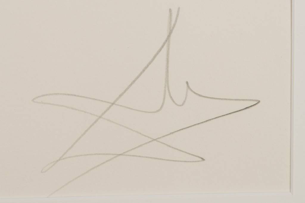 Detail a: Salvador Dali, 1904-1989, Don Quijote, Radierung auf Arches Velin, 1980, handsign., num. 54/125, WVZ: Field Nr. 80-1N und Michler/Löpsinger Nr. 940, ...