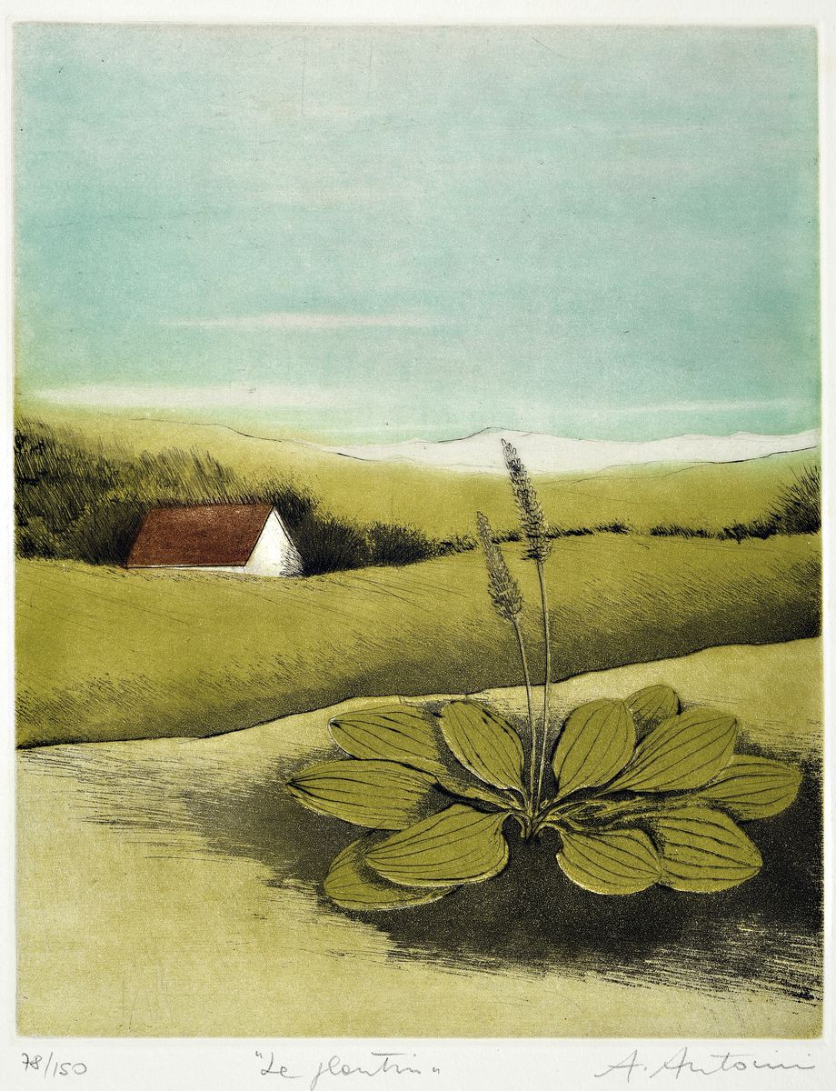 Annapia Antonini, geb. 1942, Le Plantin, Farbradierung, handsign., betitelt und num. 78/150, ca, 24.5x19.5cm