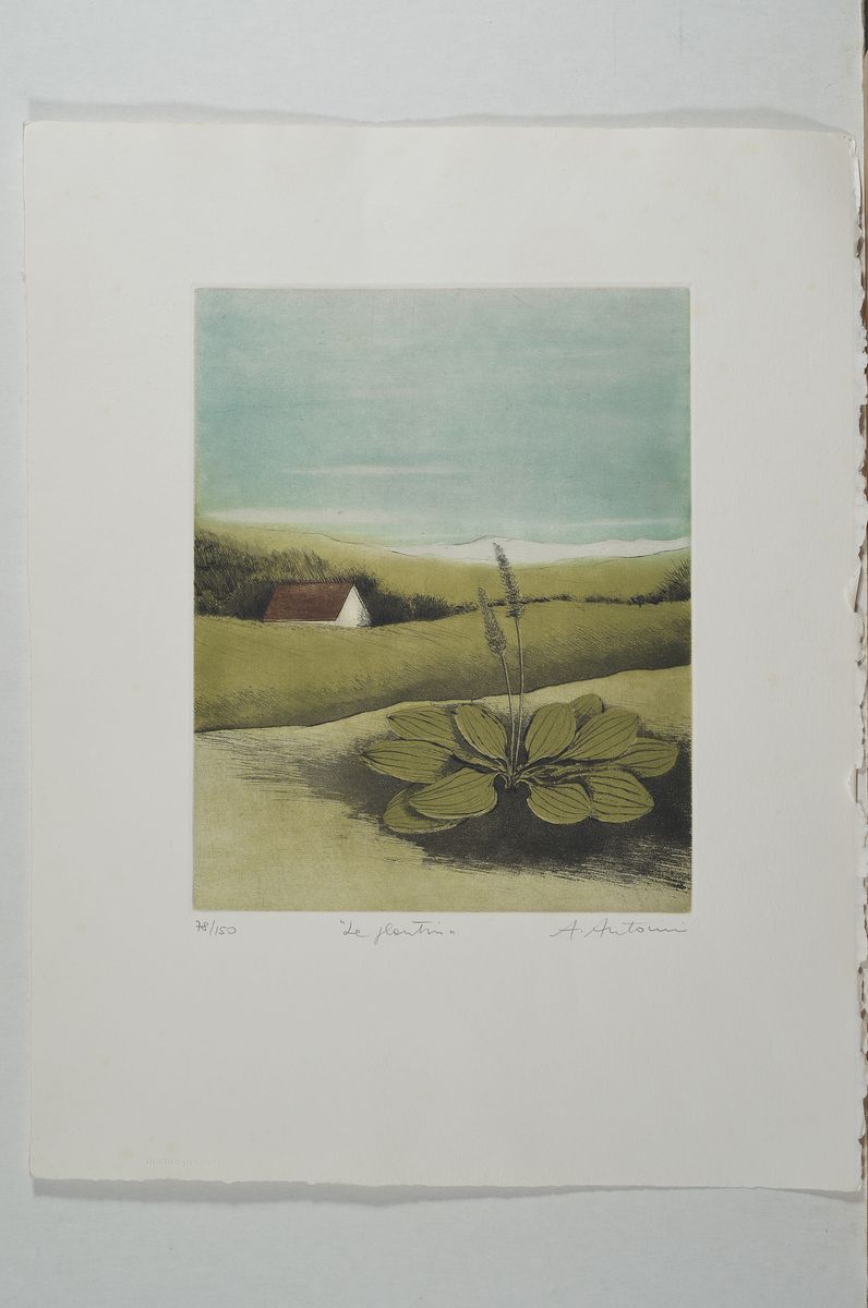 Detail k: Annapia Antonini, geb. 1942, Le Plantin, Farbradierung, handsign., betitelt und num. 78/150, ca, 24.5x19.5cm