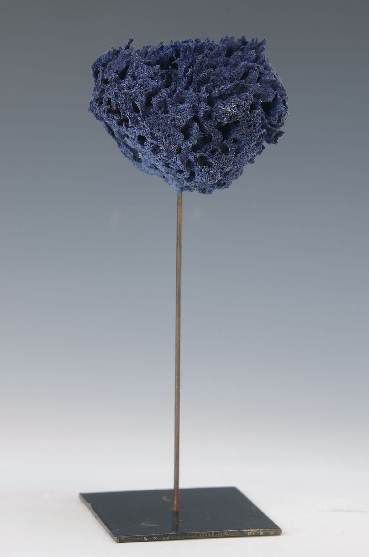 Zeitgenössischer Künstler, inspiriert von Yves Klein, Schwamm blau, aufgeständert, unsigniert, H. 22 cm, wohl aus den 80er Jahrenleichte ...