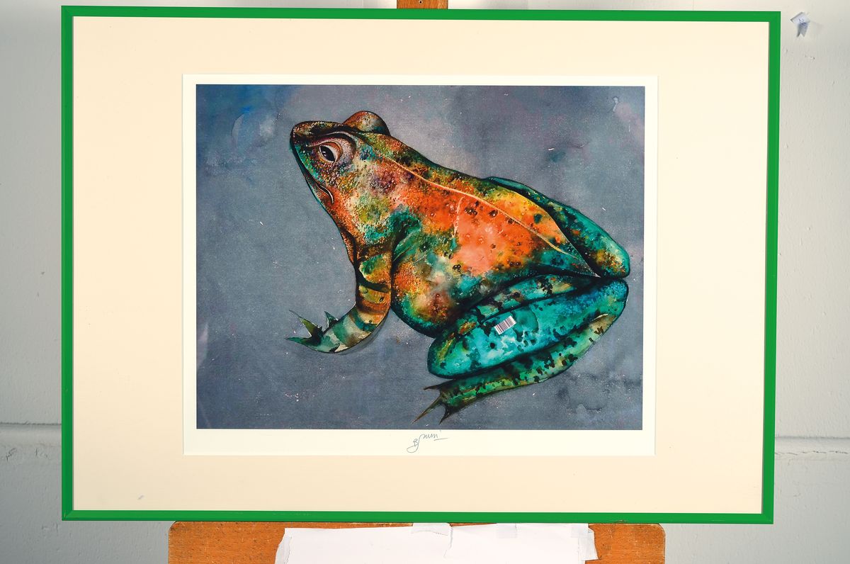 Detail k: Bruno Bruni, geb. 1935 Gradara, Frosch, Druck, handsigniert, ca. 34x44cm, PP, u.Gl., R. ca. 51x71cm