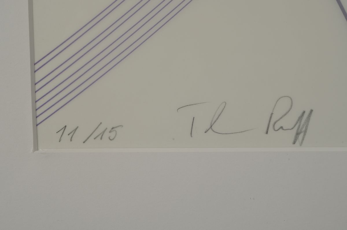 Detail a: Thomas Ruff, geb. 1958, Zycles, Ditoneprint auf transparenter Polyester Folie, handsigniert und num. 11/15 aus 2014, Blattgr. 100 x 80 cm, Rahmen: ...