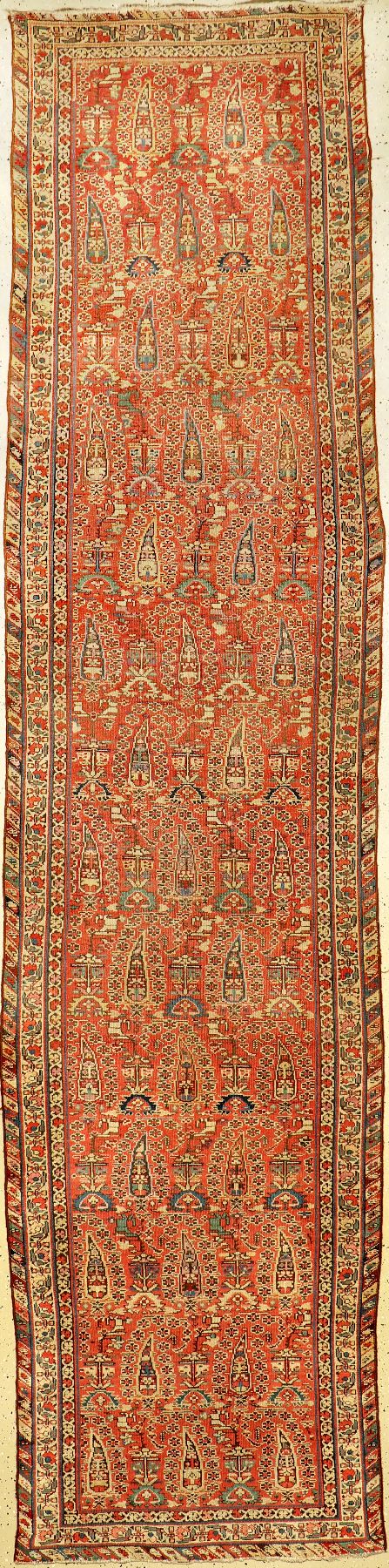 Kurdische "Galerie" antik (Zypressen Muster), Persien, 19.Jhd., Wolle auf Baumwolle, ca. 370 x 92 cm, EHZ: (Altersspuren und ...